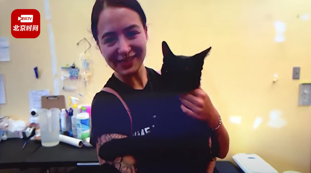 将猫和鼠从小一起养大，猫咪还会抓老鼠吗？猫老鼠动物_新浪科技_新浪网