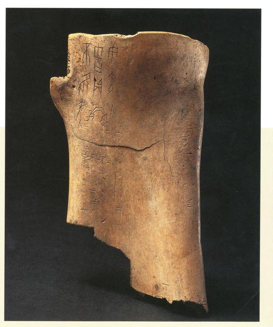 “虹”卜骨照片