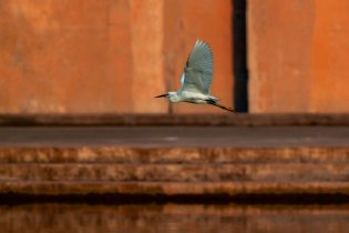 橘色夕阳照耀码头