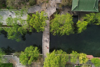 山东济南：护城河畔春色浓