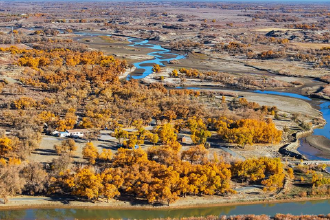 額濟納：金秋胡楊別樣美