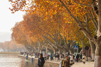 浙江杭州：西湖冬韵 秋色未尽