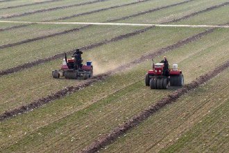 山東茌平：應對寒潮保生產