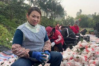 荣县柑橘首次出口沙特