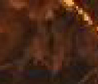 缅因州禁止特朗普总统初选