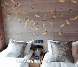 熊猫专列成都号长啥样