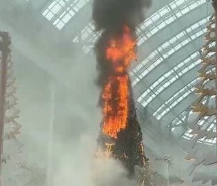 浙江一乐园装饰树起火