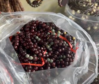 红木市场造假被曝光