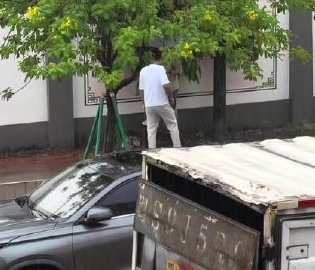 东莞街头出现鳄鱼