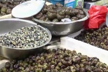 螺蛳、河蚌…时令美味率“鲜”上市，清明前这样吃清凉败毒！