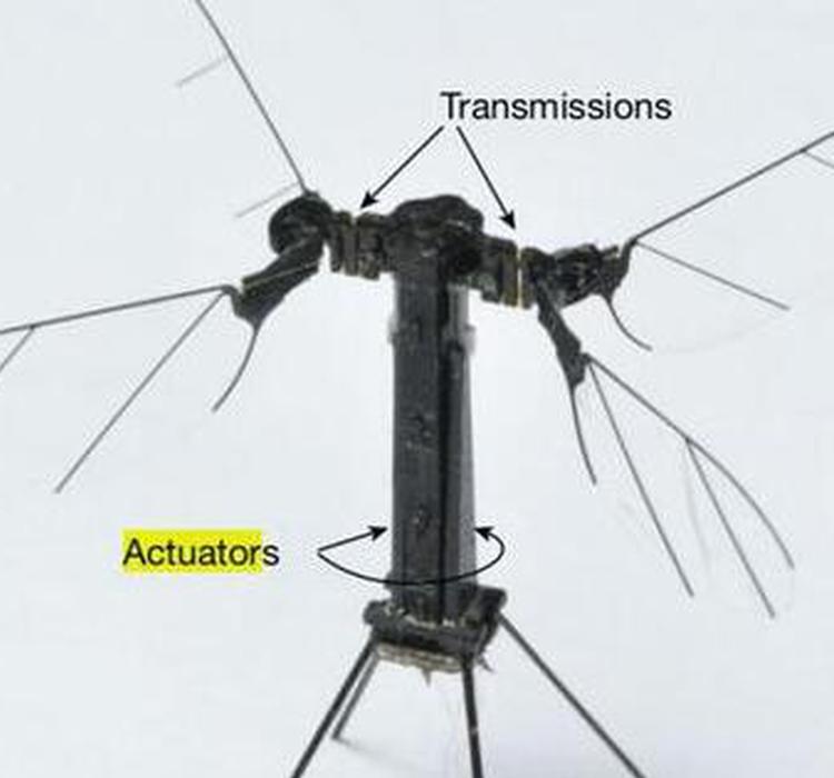 史上最轻无人机：比回形针还轻，实现无缆飞行