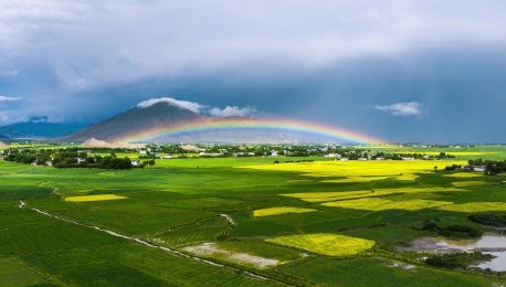 西藏日喀则：青稞田现“低虹”景观