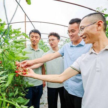 “莓”好“柿”光