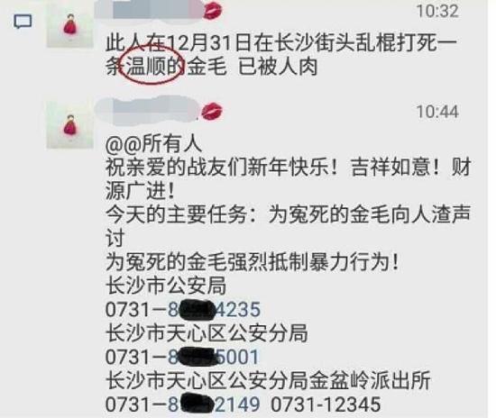 另外，关于这条被扑杀的金毛犬的身份，长沙电视台也进行了采访报道：这条被扑杀的金毛犬其实是半个月前被人遗弃的，之后有一名好心人将其送到了当地一家宠物诊所寄养，等待有人前来领养。而在案发当天，曾经有人前来领养了这条金毛犬，但这条狗之后却袭击了这名领养人，结果这名害怕的领养人把狗拴在路边后走掉了。再后来，便发生了路人被这条狗袭击的事情……