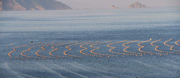 獐子岛:扇贝死于“天命难违”