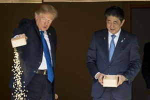 特朗普访日喂鱼被吐槽 真相曝光锦鲤成大赢家