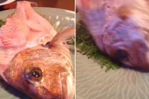网友吃生鱼片吃到一半 死鱼复活当场被吓懵
