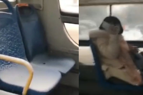 公交车内飘雪花 乘客淡定举起手机拍照