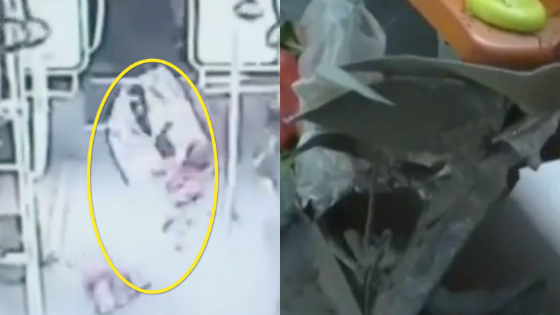 窨井盖突然飞起砸穿公交车 乘客被弹倒骨折