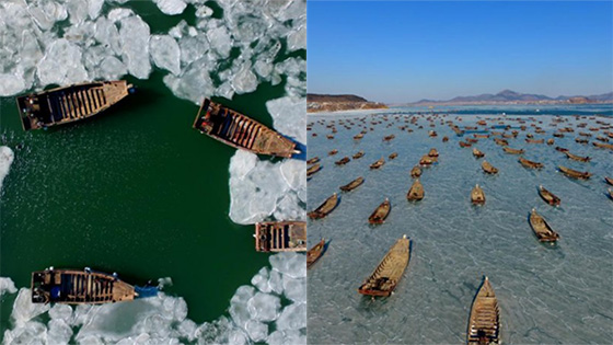 大海被冻住了 现实版“冰冻星球”
