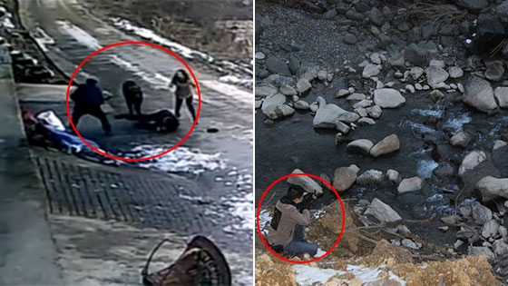 野猪袭击村民伤人 狙击手连开3枪将其击毙