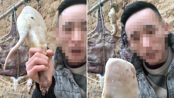 主播为吸粉杀野生动物 头像上写百兽之王