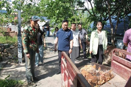 集安市青石镇:发展庭院经济 助力乡村振兴