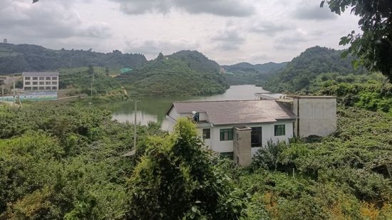 修文县谷堡镇折溪村猕猴桃丰收农家乐