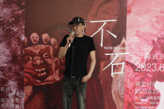 云南艺术学院美术史论系主任、德国纽伦堡大学博士马宁先生讲话