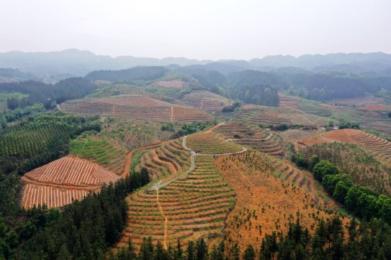 贵州晴隆南方电网服务电动农机赋能智慧生态果园发展