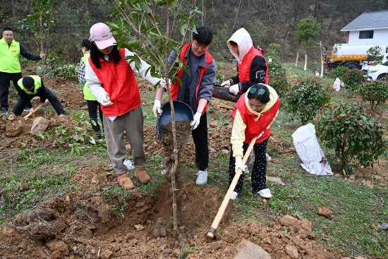 种树仲春时节,百花盛开.