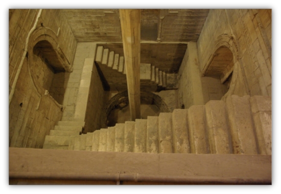 中埃联合申遗座谈会在开罗举办 中国白鹤梁题刻与埃及罗达岛尼罗尺将