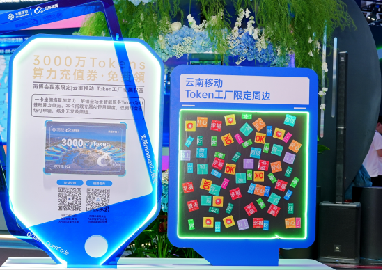 展区提供的3000万Tokens算力充值券（2026年6月11日摄）。