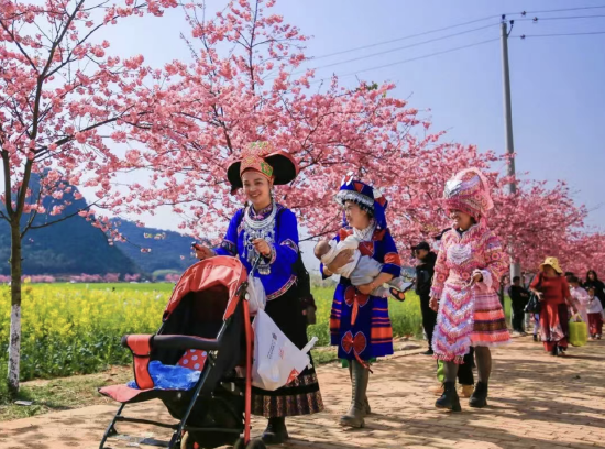 樱花大道 滕跃 摄