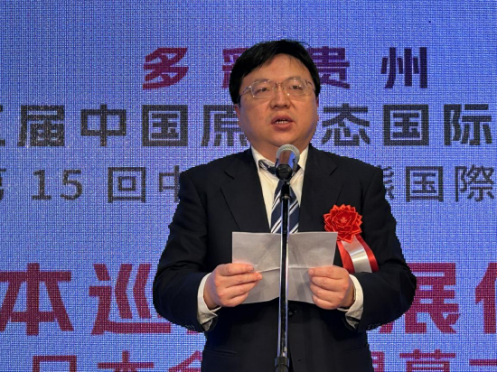 中国驻日本大使馆公使衔参赞兼总领事陈巍致辞。大展组委会办公室供图