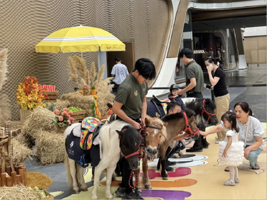 小马驾到马术互动示意图