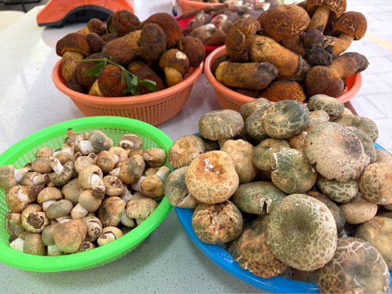 0141-5e80549dd0ef80e8be1bf1d408516274.png
