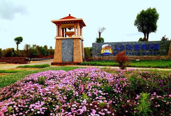 万家欢蓝莓庄园