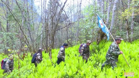 李玉花和队员们穿梭在崇山峻岭间(贡山县融媒体中心 供图)