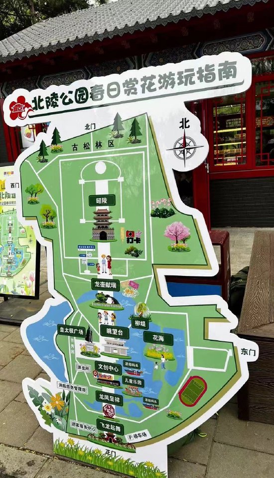 春色满园 花攒绮簇|北陵公园第八届花朝节亮丽登场