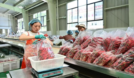 中国银行昭通市镇雄支行助力企业稳定并创造更多新的就业机会