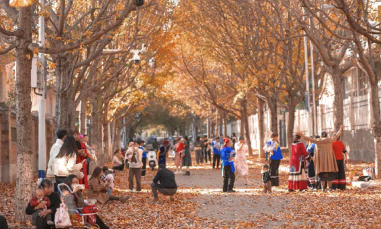 枫叶街 刘贵权 摄
