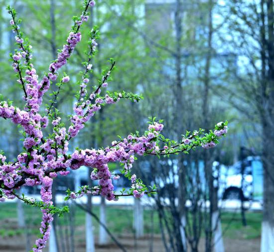 大连市发布《疫情防控常态化市民自我健康管理倡议书》