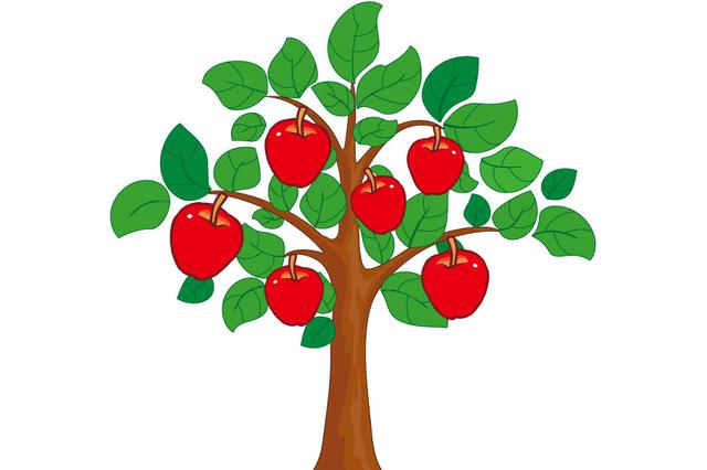 小区果树硕果累累 业主能否自行采摘