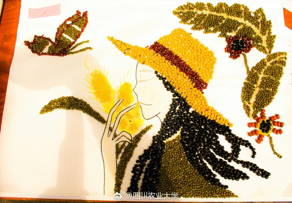 的第八届种子质量检测暨田园综合体种艺画大赛正在如火如荼地举行中