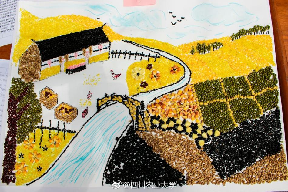 川农大学生用种子作画 栩栩如生引人赞