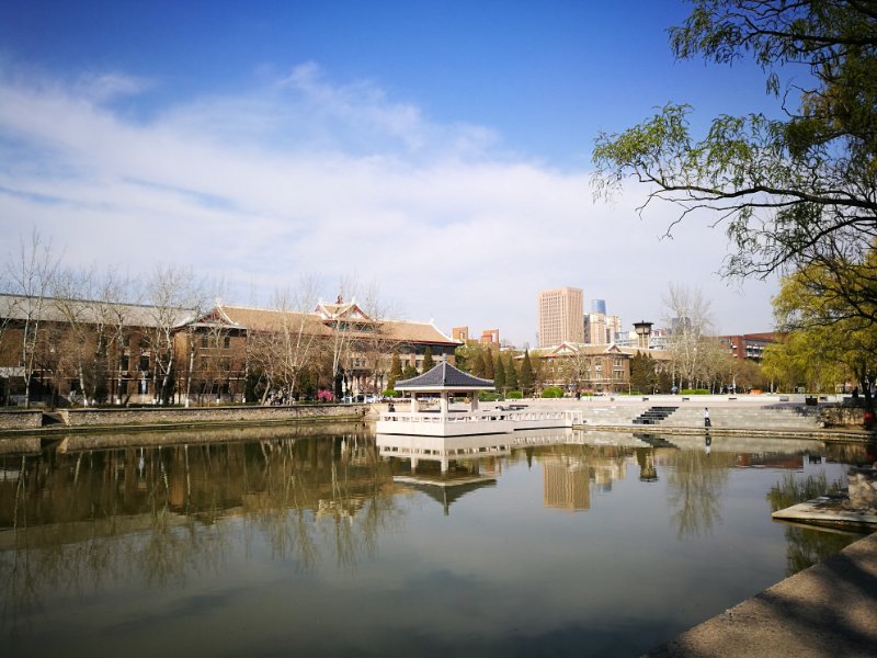 组图:天津大学海棠季来临 花团锦簇春意浓