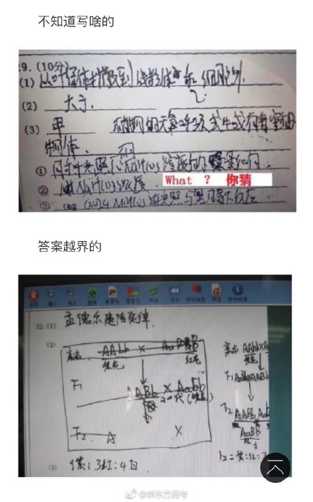 高考注意事项 高考答题卡错误涂法集锦