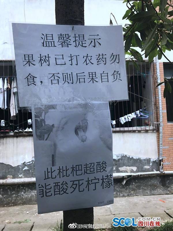 谁摘果子谁挂科 学校贴表情包声明保护果园