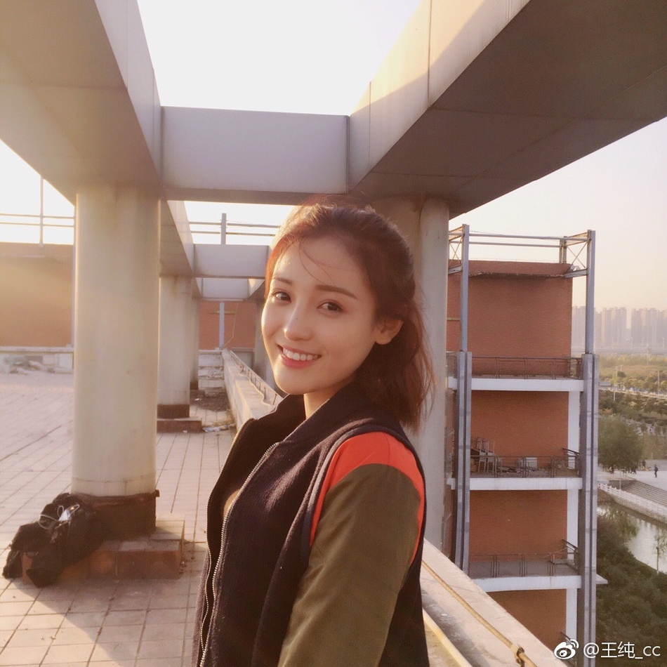 (图cr.@王纯_cc的新浪微博)